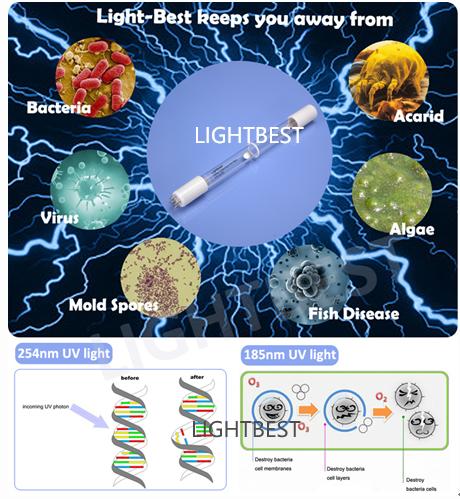 What is the working principle of a UV germicidal lamp?