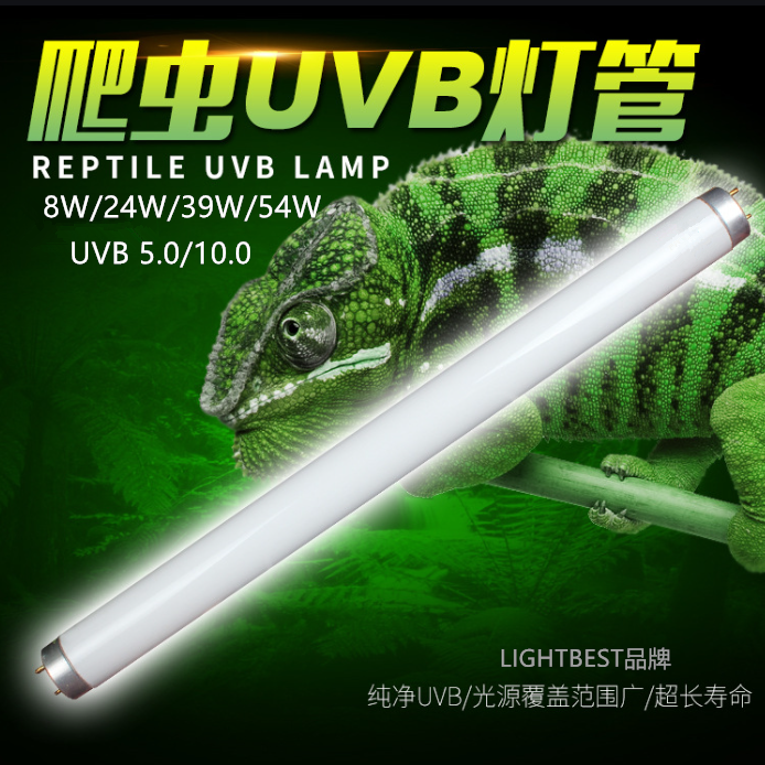 What is UVB ultraviolet reptile light?